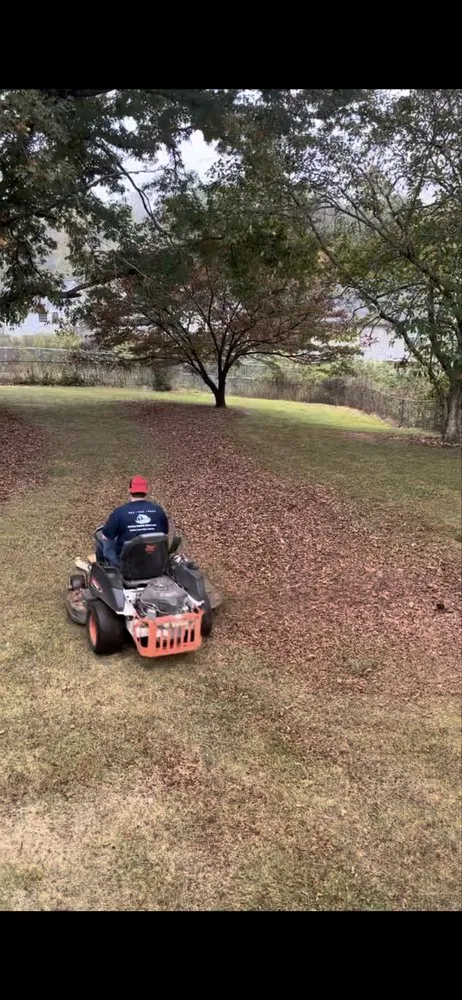 Professional landscaping services for outdoor upgrades across Tallapoosa, GA - Mason Worx Property Maintenance