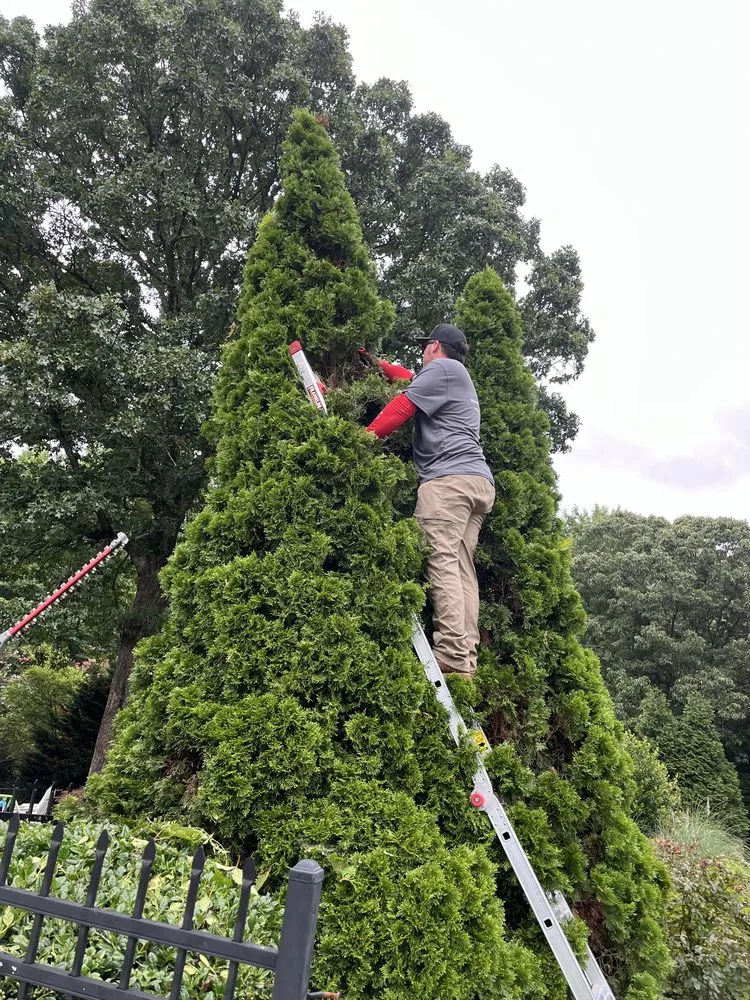 Top-rated residential landscaping for homes across Tallapoosa, GA - Mason Worx Property Maintenance