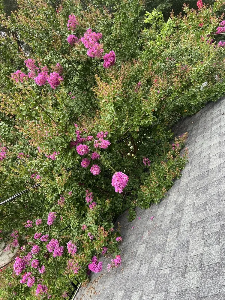 Affordable outdoor landscaping experts serving Tallapoosa, GA - Mason Worx Property Maintenance