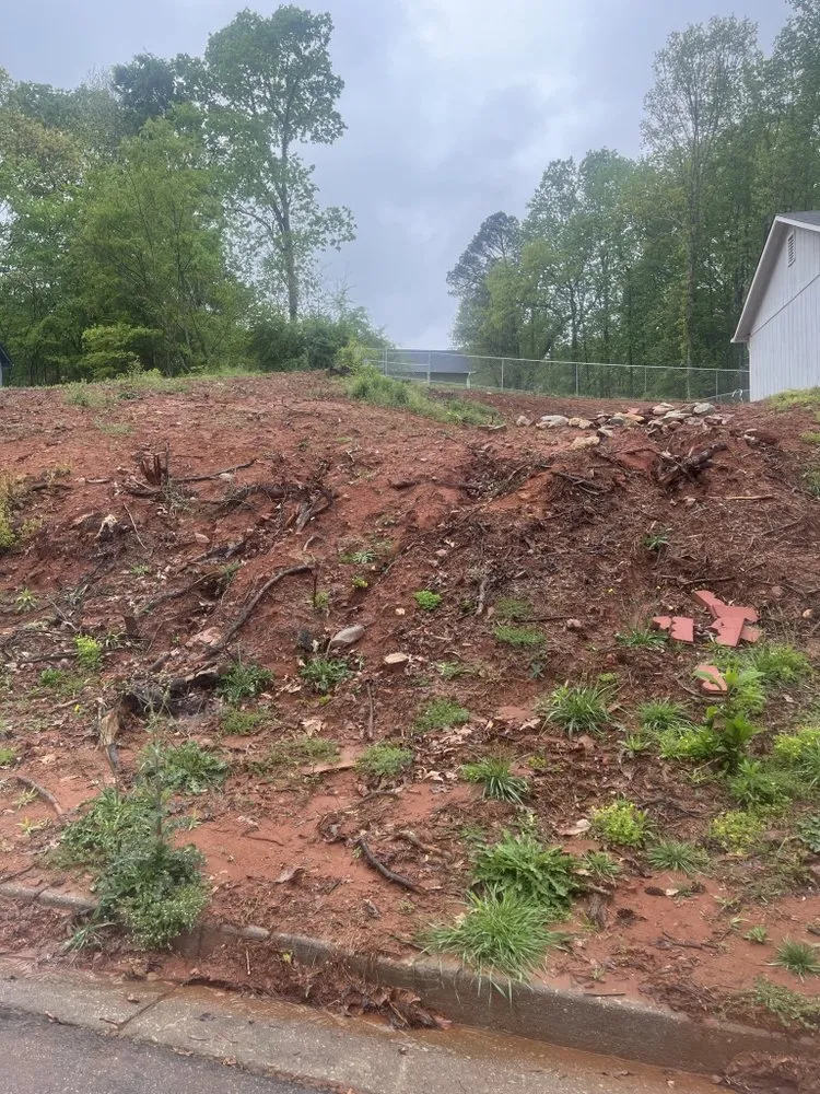 Top-rated landscaping services for homes across Stone Mountain, GA - Masonite Land & Sod