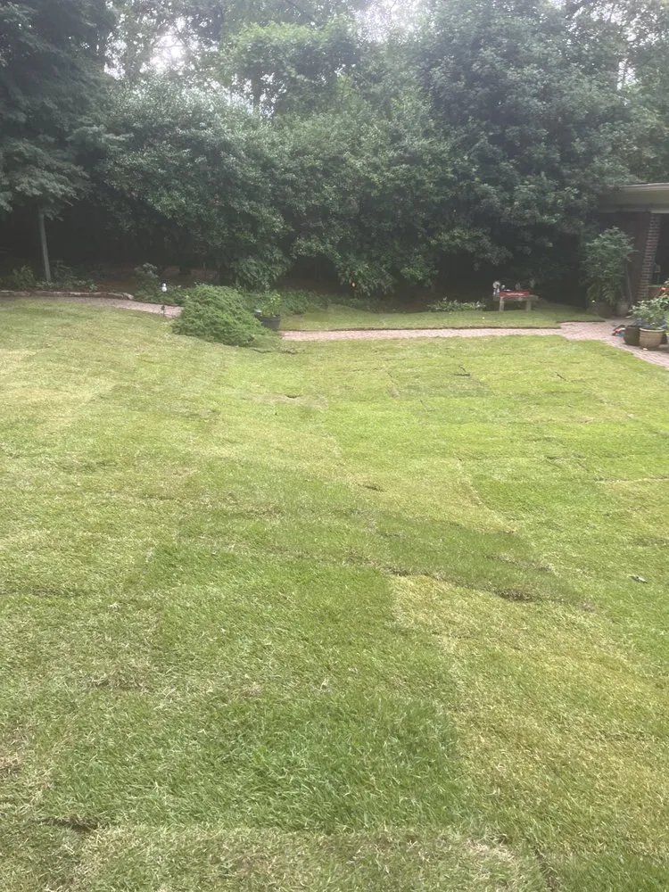 Custom yard maintenance experts serving Stone Mountain, GA - Masonite Land & Sod