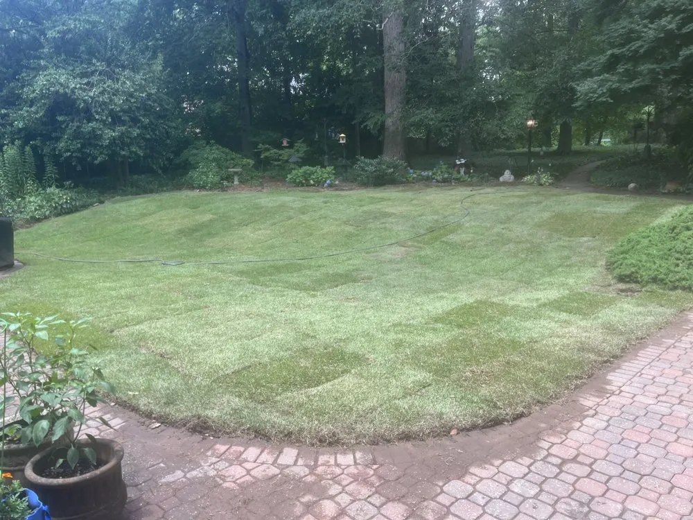 Affordable landscape design in Atlanta, GA by Masonite Land Clearing