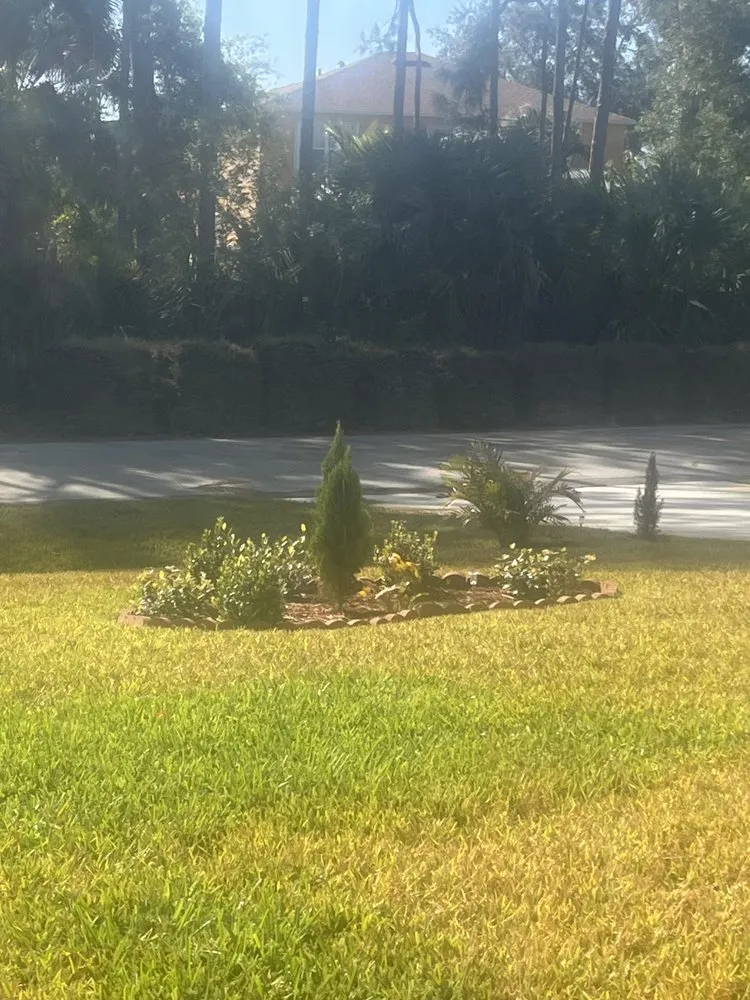 Expert yard maintenance in Atlanta, GA - Masonite Land Clearing