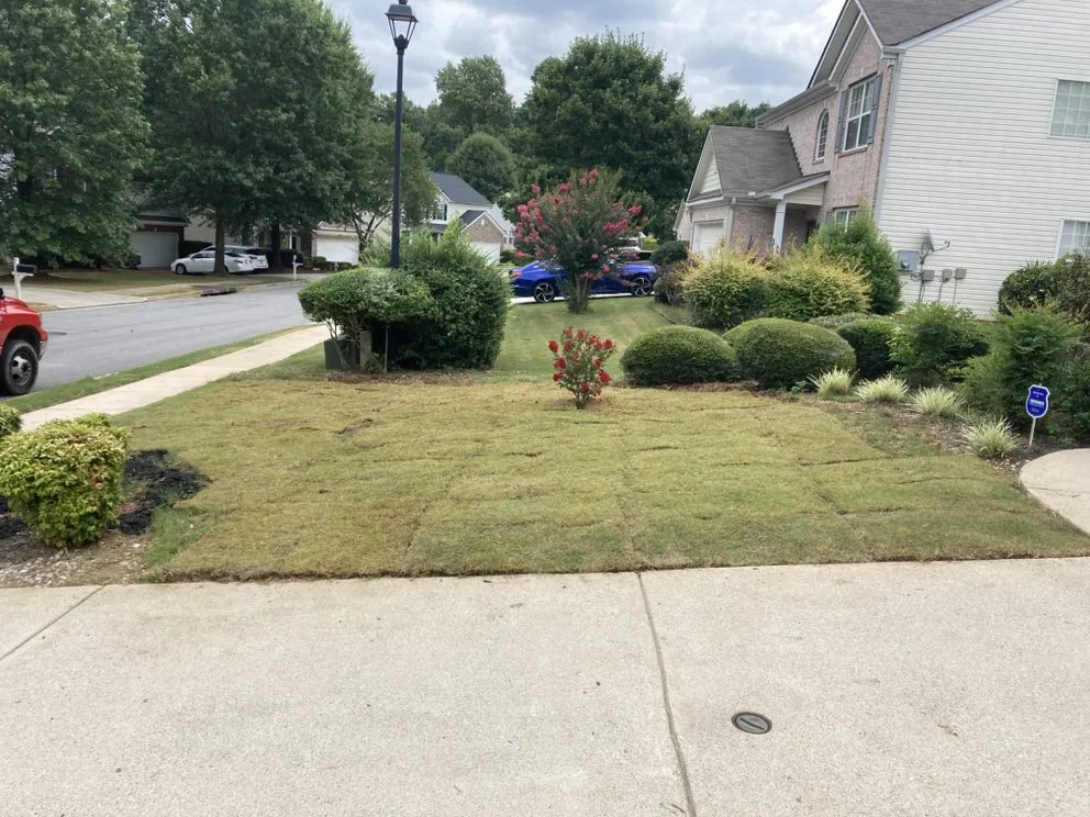 Local yard cleanup service in Decatur, GA - Masonite Landscape & Sod