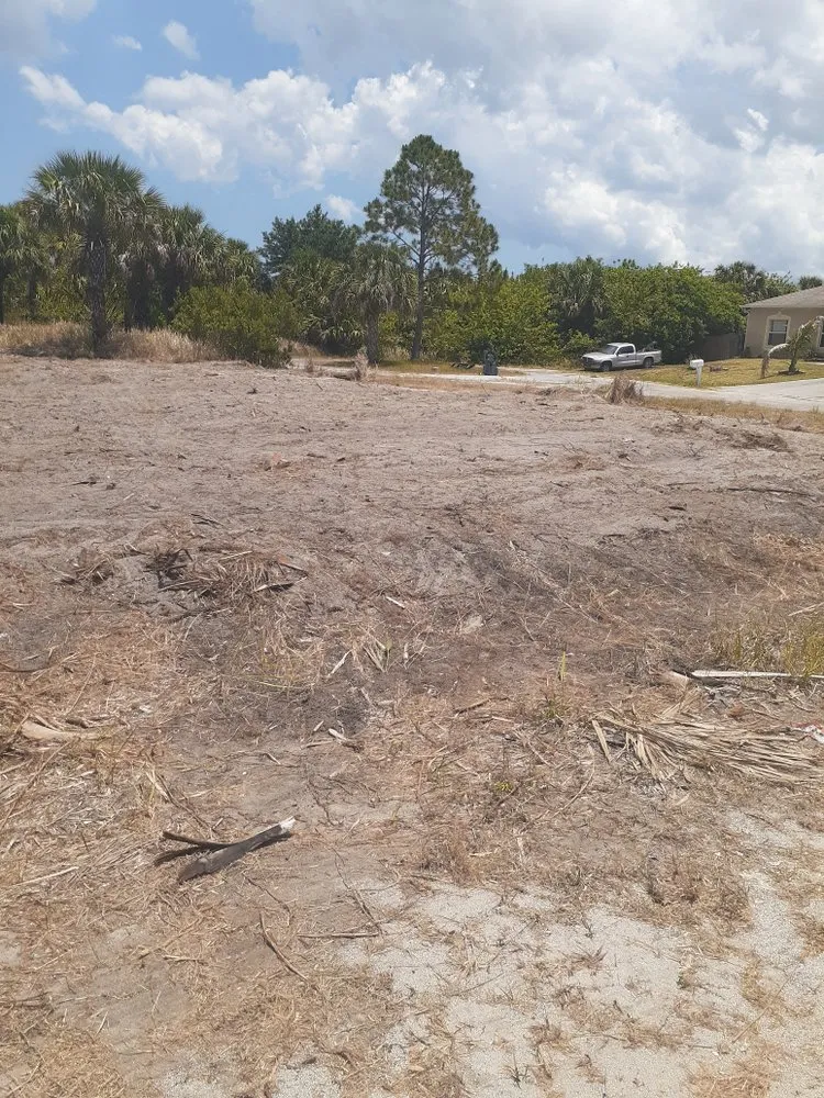 Custom yard maintenance experts serving East Point, GA - Masonite Landscape & Sod