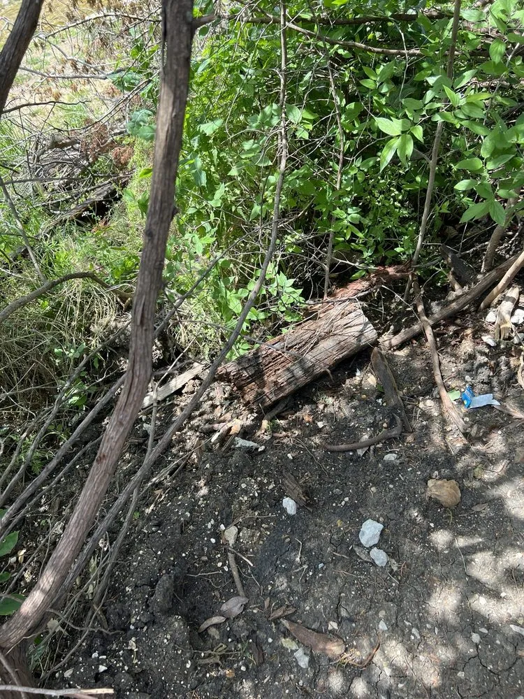 Reliable landscaping services in Dallas, TX - Masonry Scapes