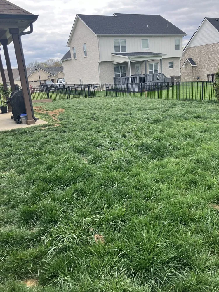 Trusted residential landscaping experts serving Clarksville, TN - Mason’s All In 1 Property Maintenance