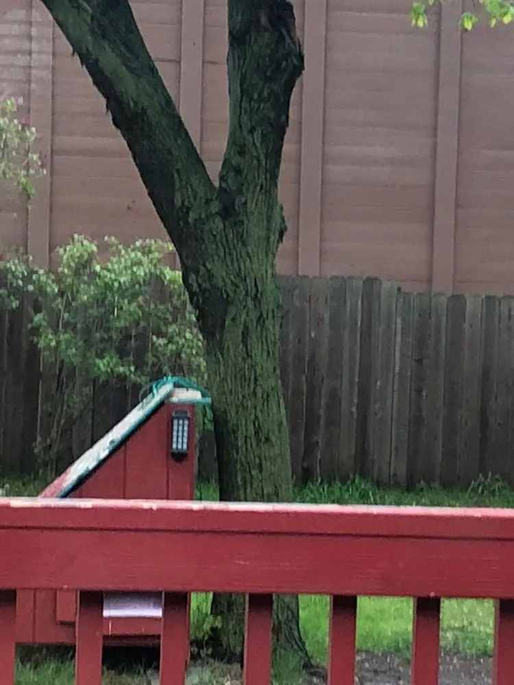 Professional lawn mowing service for residential properties in Avon, MN by Mason's Lawn Care