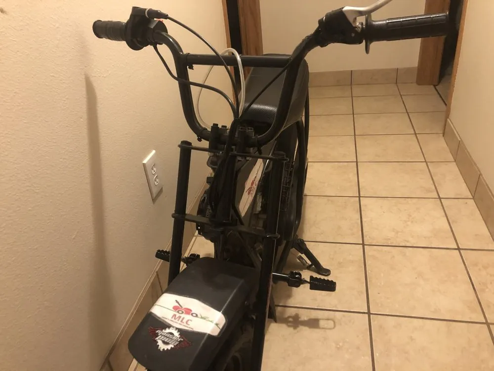 Custom yard cleanup service for year-round maintenance across Avon, MN - Mason's Lawn Care