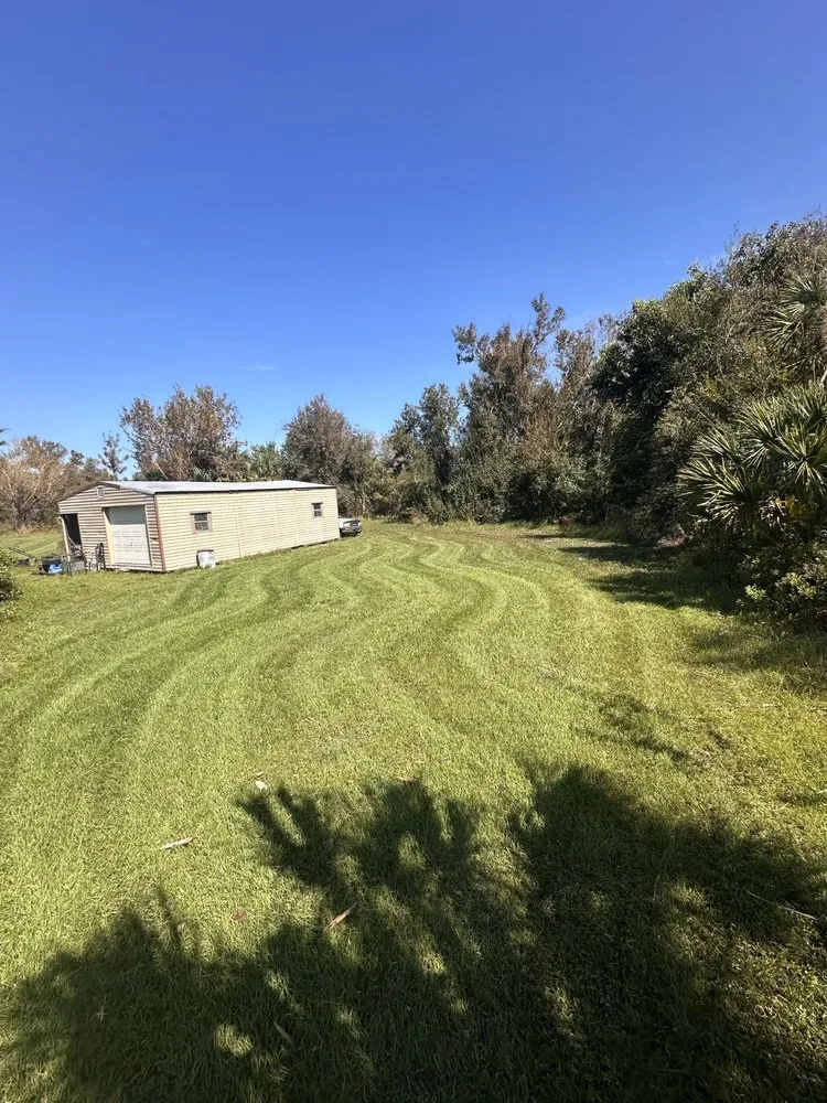 Custom yard cleanup service with custom design across Cape Coral, FL - Mason’s Lawn Rescue