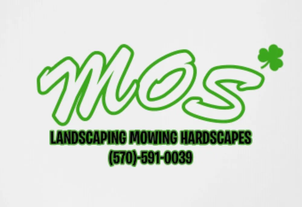 Affordable yard cleanup service for year-round maintenance in Blakely, PA by Masons Outdoor Services