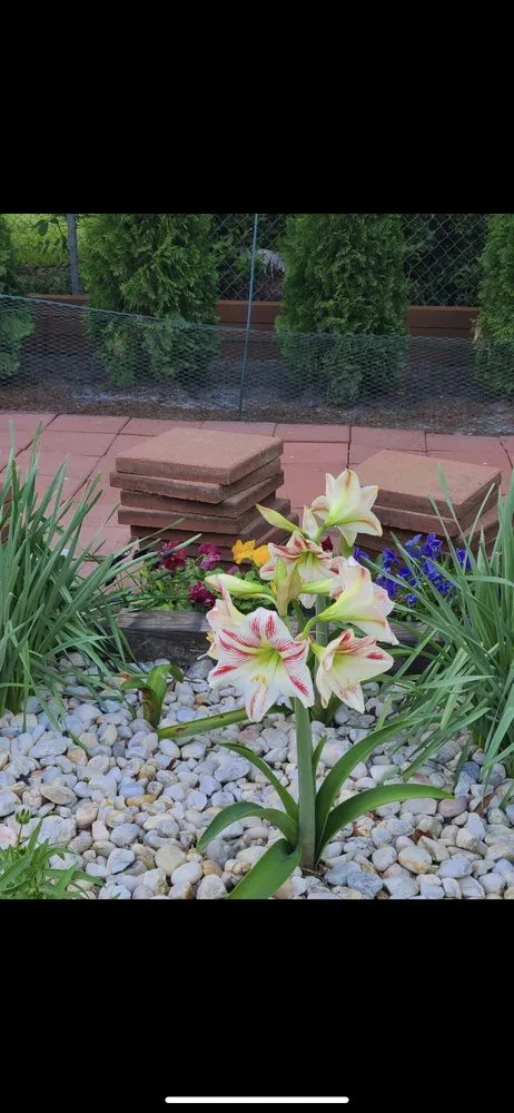 Local garden landscaping in Wilmington, NC - Mason’s