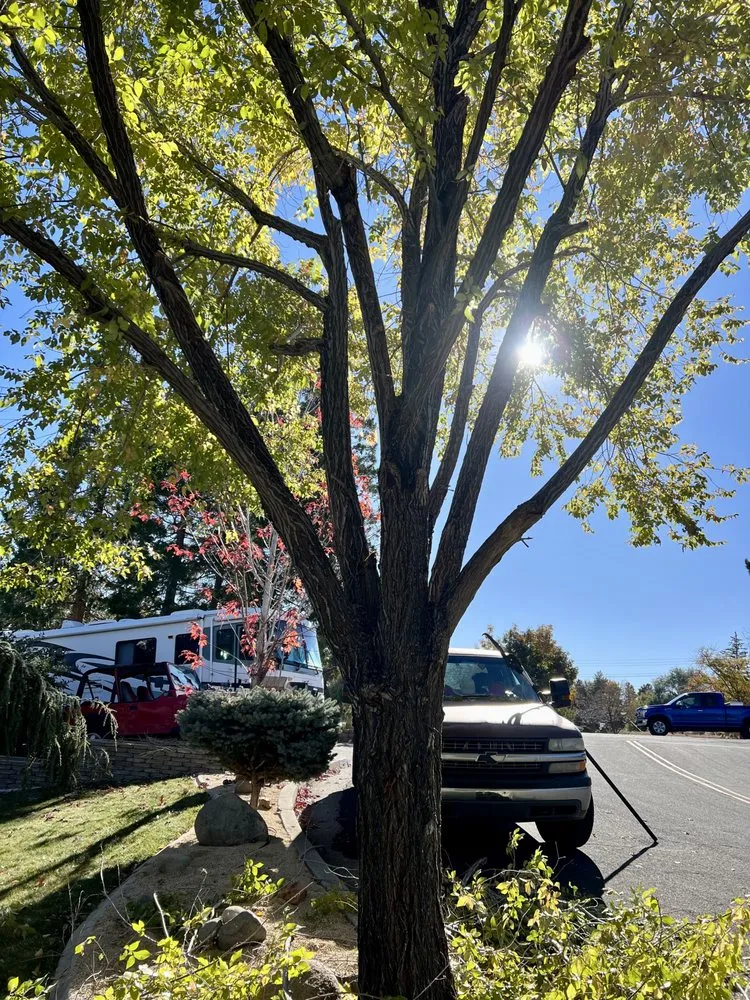 Affordable landscaping services in Sparks, NV by Mason's Yard Care