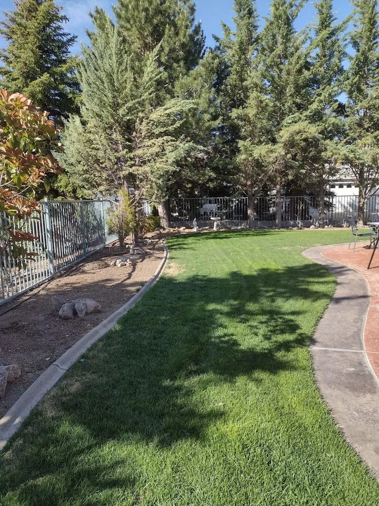 Professional outdoor landscaping in Sparks, NV by Mason's Yard Care