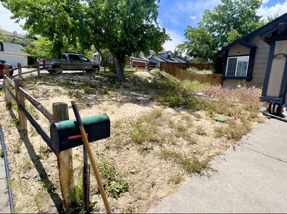 Professional landscape design for homes across Sparks, NV - Mason's Yard Care