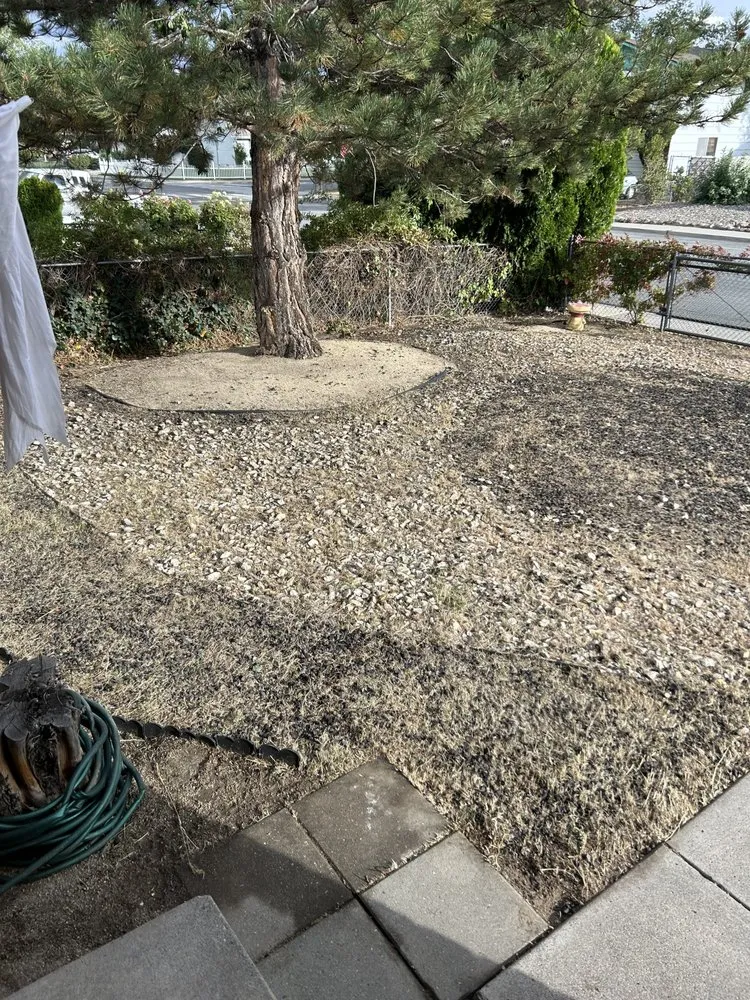 Trusted landscape installation for outdoor upgrades in Sparks, NV by Mason's Yard Care