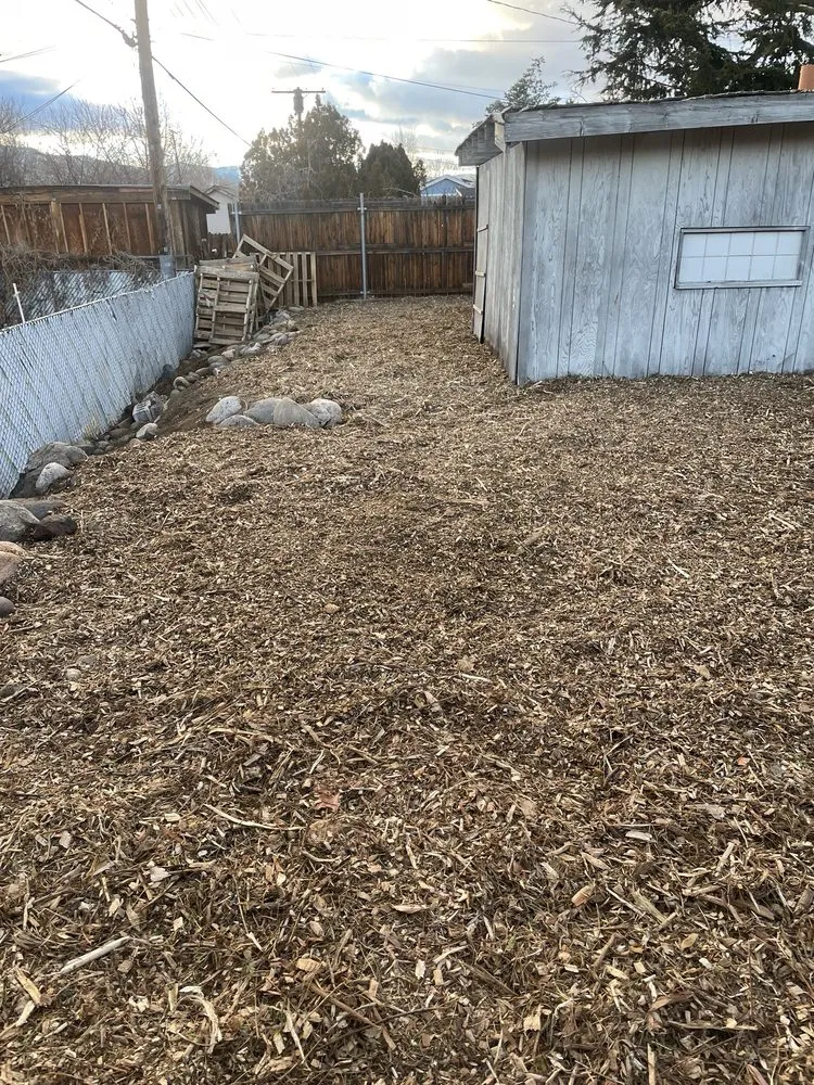 Expert lawn mowing service for year-round maintenance across Sparks, NV - Mason's Yard Care