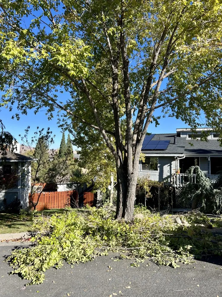 Reliable residential landscaping for outdoor upgrades in Sparks, NV by Mason's Yard Care