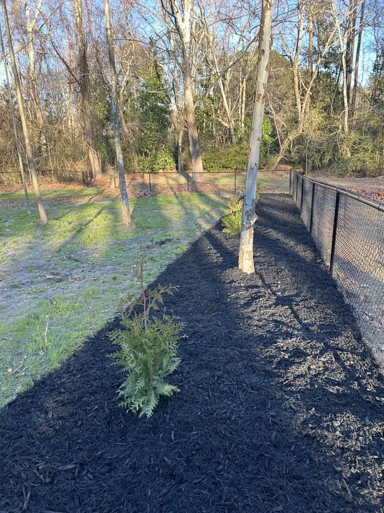 Local yard cleanup service in Zebulon, NC by Mason’s Yard Maintenance