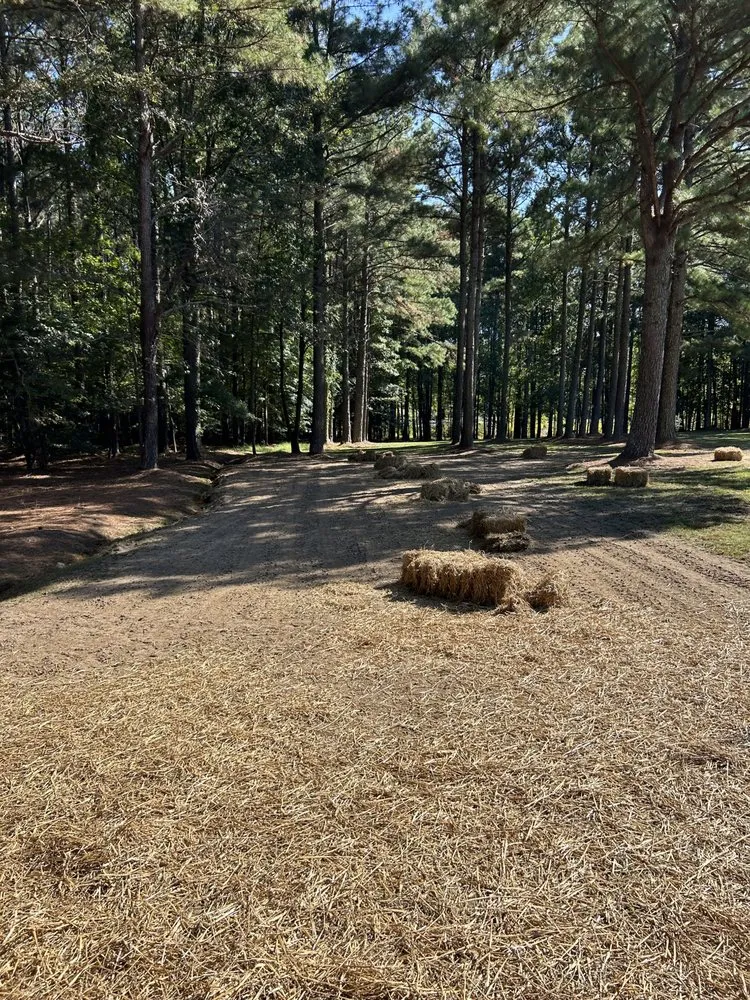 Custom residential landscaping with custom design across Zebulon, NC - Mason’s Yard Maintenance