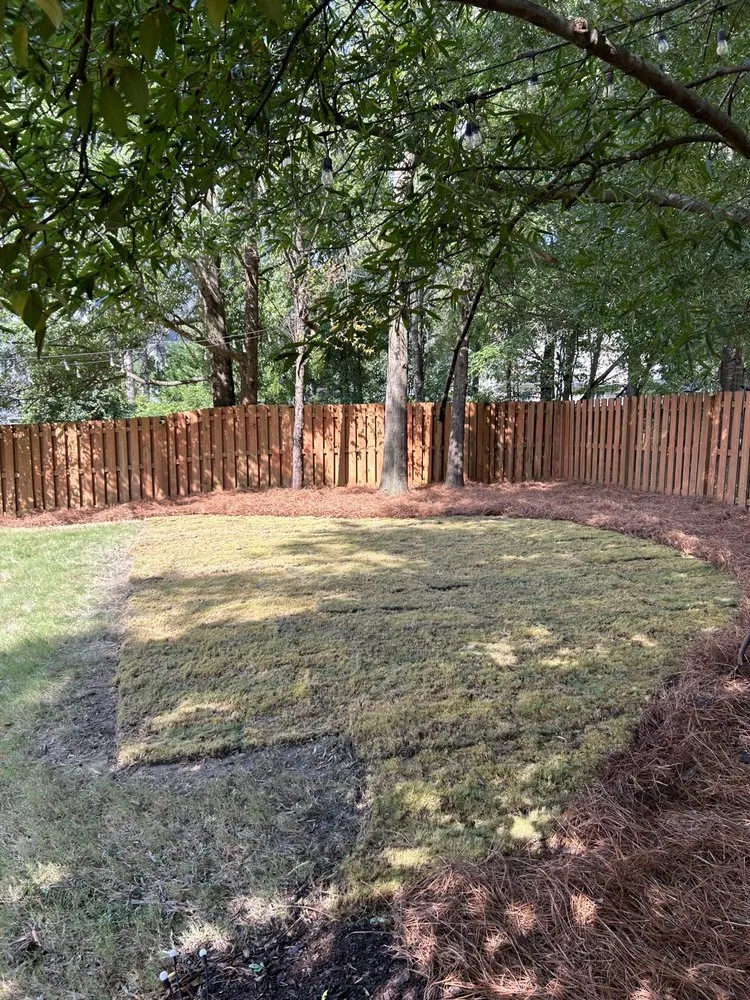 Trusted yard cleanup service in Zebulon, NC - Mason’s Yard Maintenance