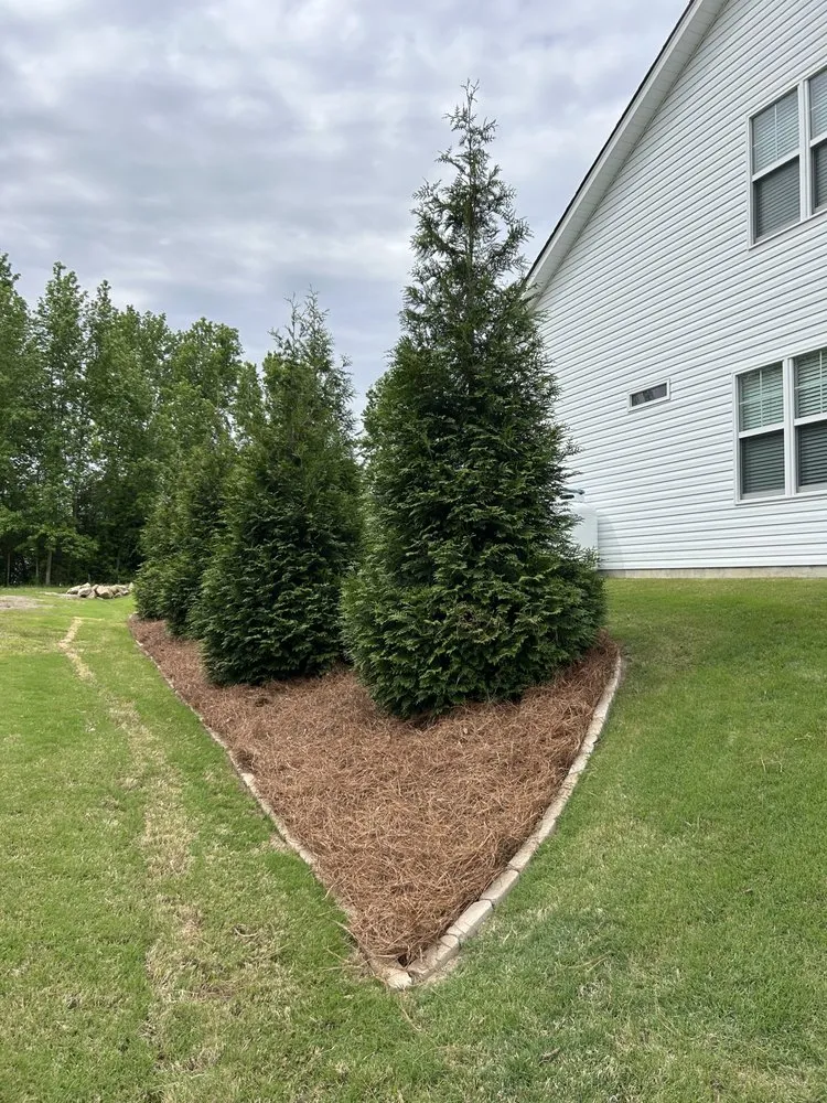 Top-rated landscaping services for homes in Zebulon, NC by Mason’s Yard Maintenance