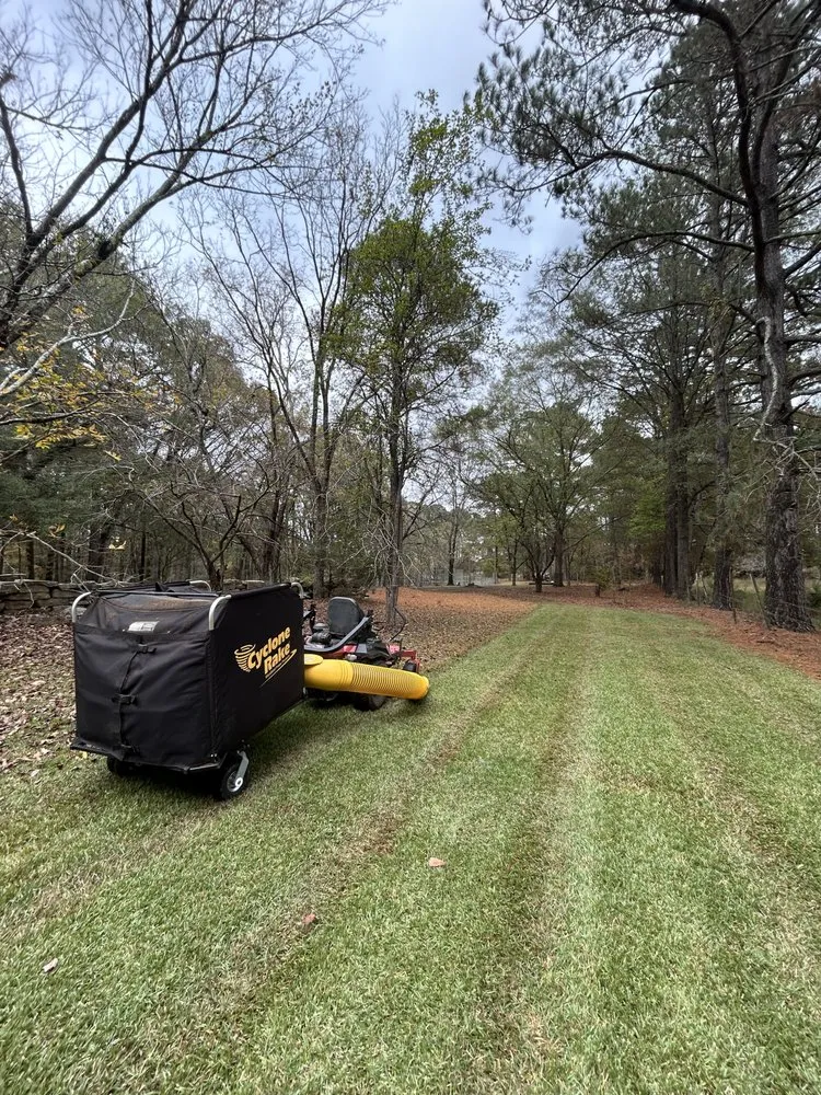 Trusted yard cleanup service in Zebulon, NC by Mason’s Yard Maintenance