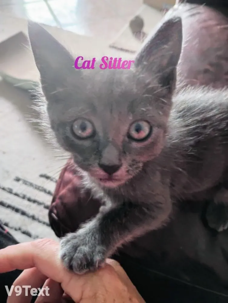 Professional garden landscaping in Ponchatoula, LA - Maso's Helping Hand