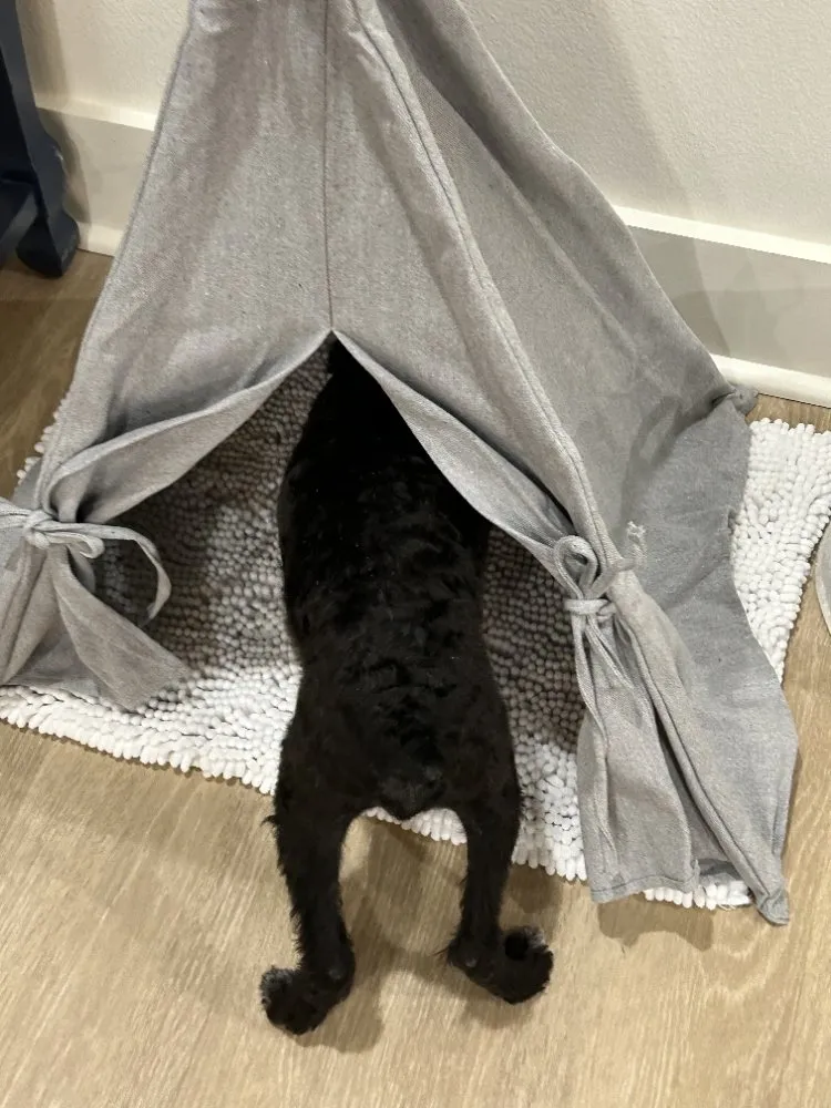 Top-rated outdoor landscaping in Ponchatoula, LA by Maso's Helping Hand