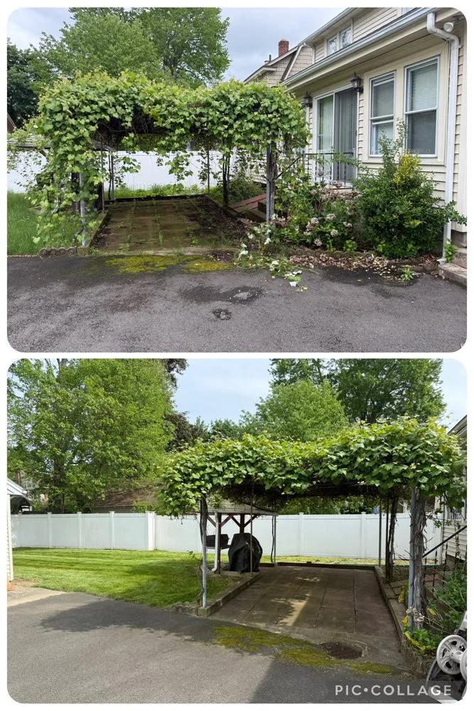 Reliable yard maintenance experts serving Russell, MA - Mass Appeal Property Services