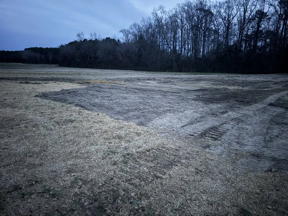 Professional residential landscaping in Teachey, NC by Mass Force Land Clearing