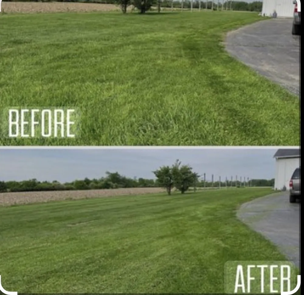Reliable landscape design in Teachey, NC by Mass Force Land Clearing