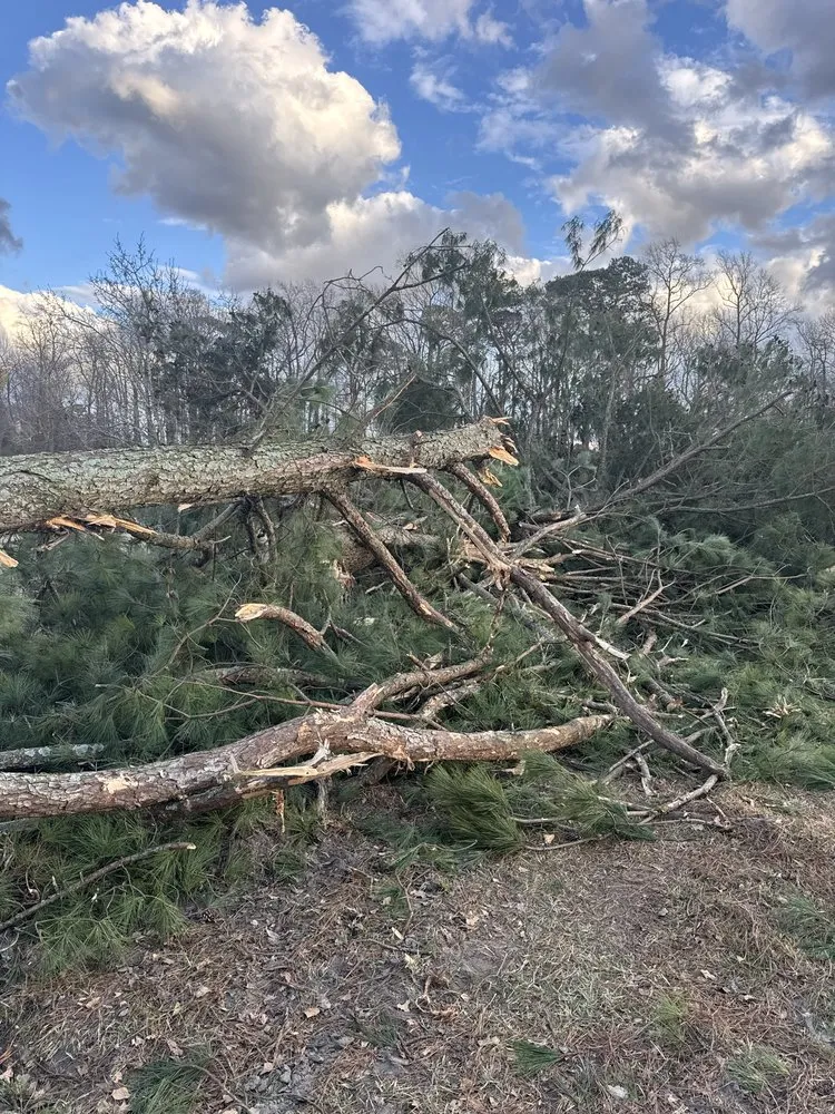 Expert outdoor landscaping in Teachey, NC - Mass Force Land Clearing