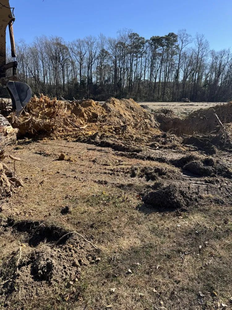Expert lawn care service for beautiful yards in Teachey, NC by Mass Force Land Clearing