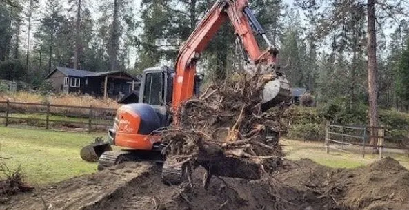 Expert landscaping services for residential properties across Teachey, NC - Mass Force Land Clearing