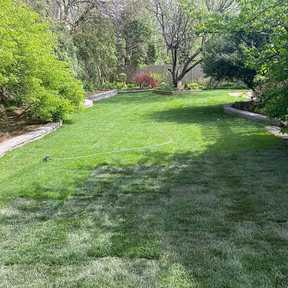 Affordable lawn care service for beautiful yards across Springfield, MA - Mass General Services