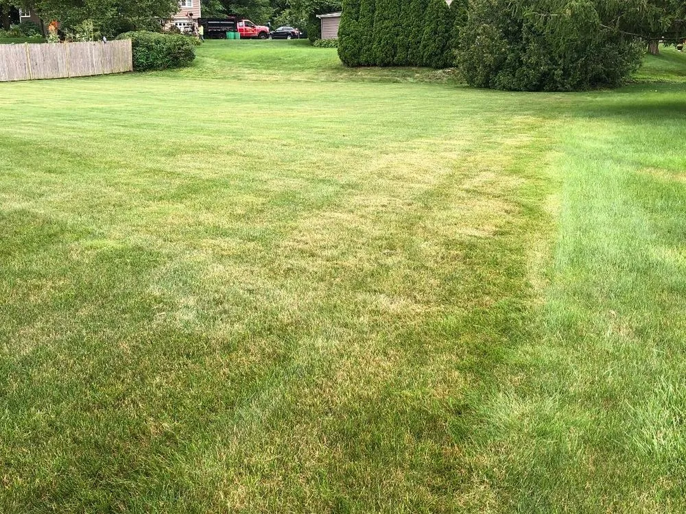 Trusted lawn care service in Braintree, MA by Mass Landscaping