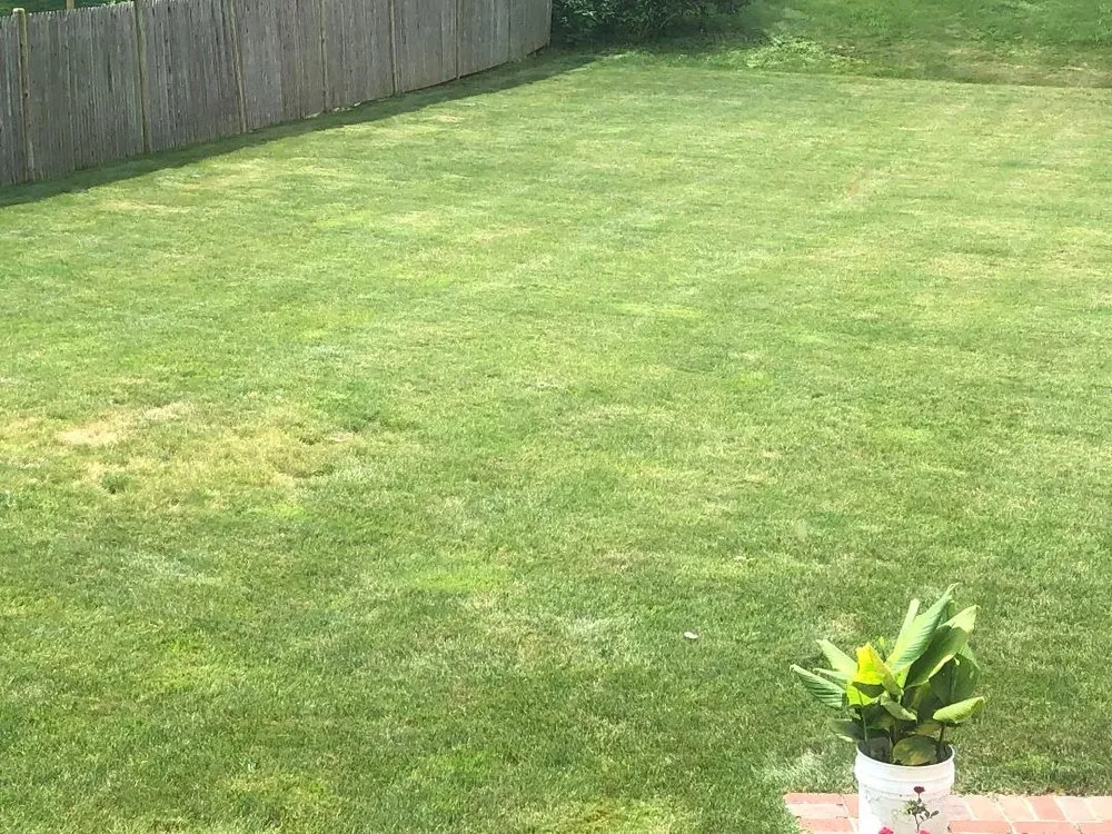 Affordable yard maintenance in Braintree, MA - Mass Landscaping