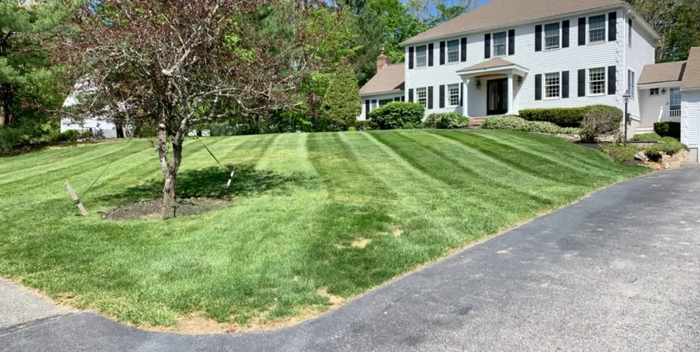 Custom lawn care service for residential properties across Quincy, MA - Mass Lawn Pros