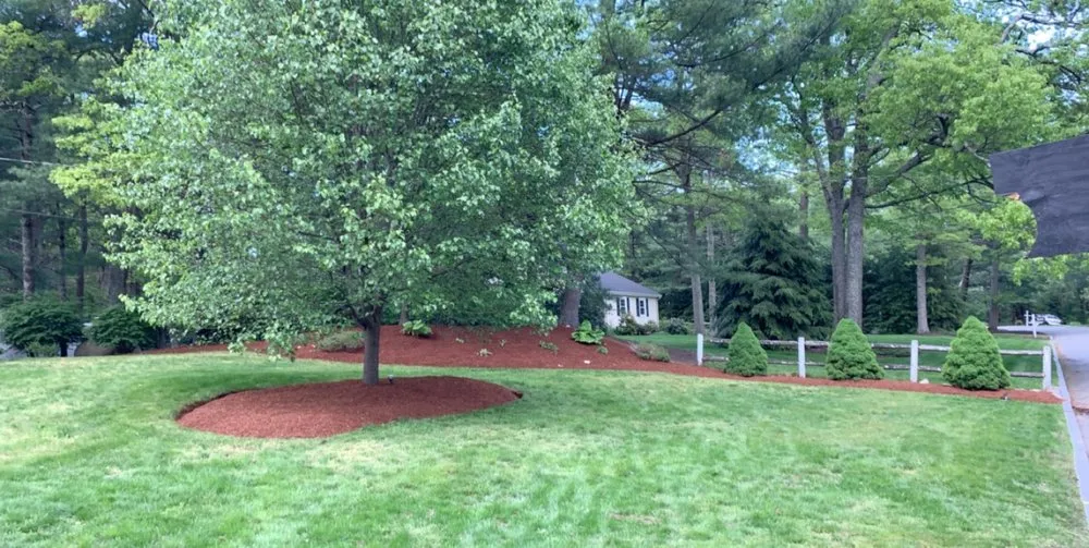 Trusted yard maintenance for year-round maintenance in Quincy, MA by Mass Lawn Pros