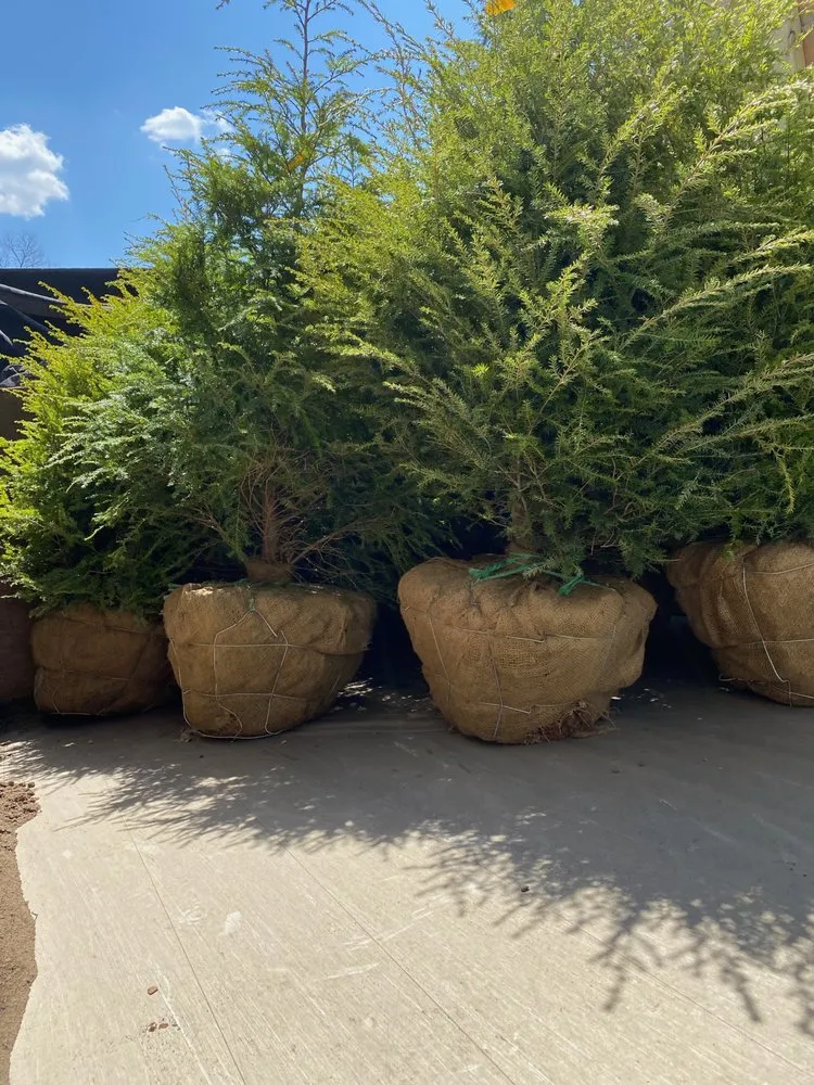 Expert residential landscaping in Quincy, MA by Mass Lawn Pros