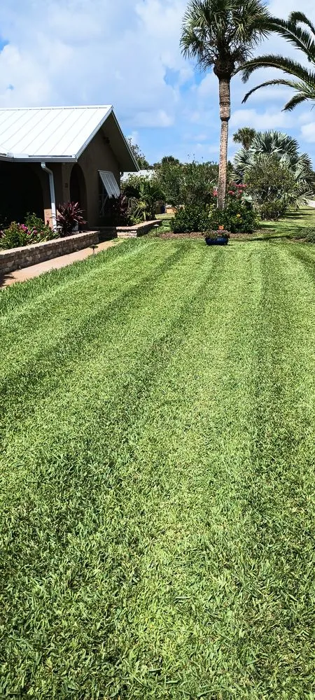 Top-rated landscaping services experts serving St. Augustine, FL - Mass Rock Lawn Service