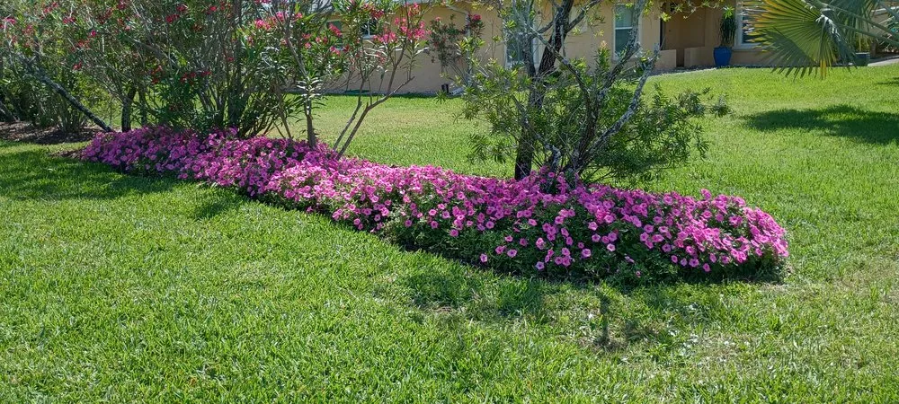 Local yard cleanup service in St. Augustine, FL by Mass Rock Lawn Service