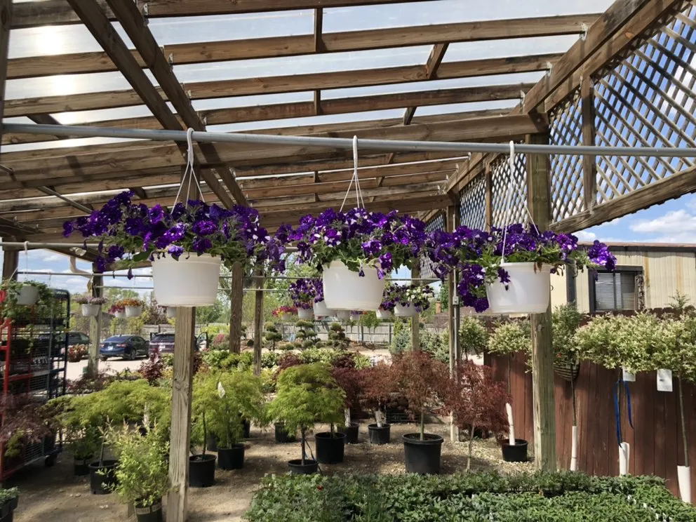 Expert landscape design in Taylor, MI by Massab Acres Greenhouse & Nursery