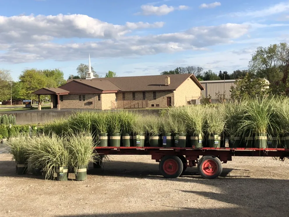 Top-rated yard maintenance for beautiful yards across Taylor, MI - Massab Acres Greenhouse & Nursery
