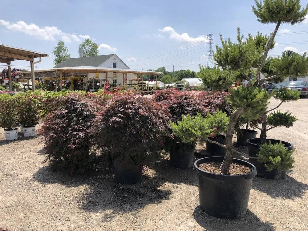 Local yard maintenance for outdoor upgrades across Taylor, MI - Massab Acres Greenhouse & Nursery