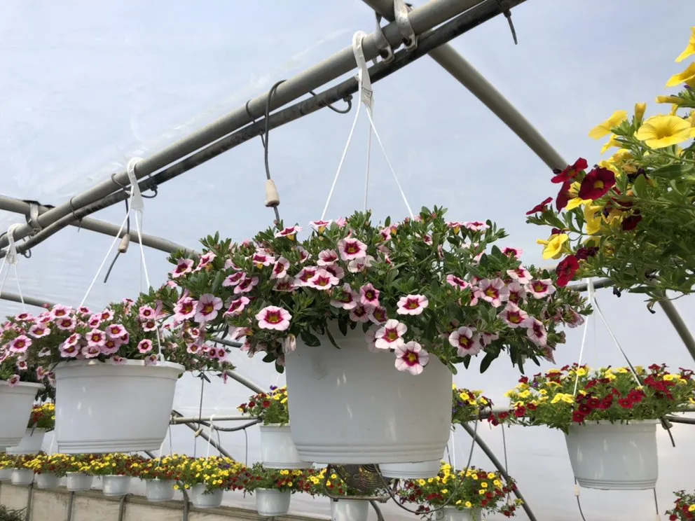 Affordable landscaping services in Taylor, MI - Massab Acres Greenhouse & Nursery