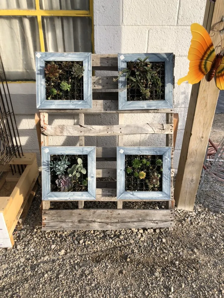 Professional lawn care service for homes across Taylor, MI - Massab Acres Greenhouse & Nursery