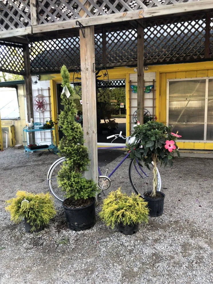 Custom yard cleanup service for homes across Taylor, MI - Massab Acres Greenhouse & Nursery