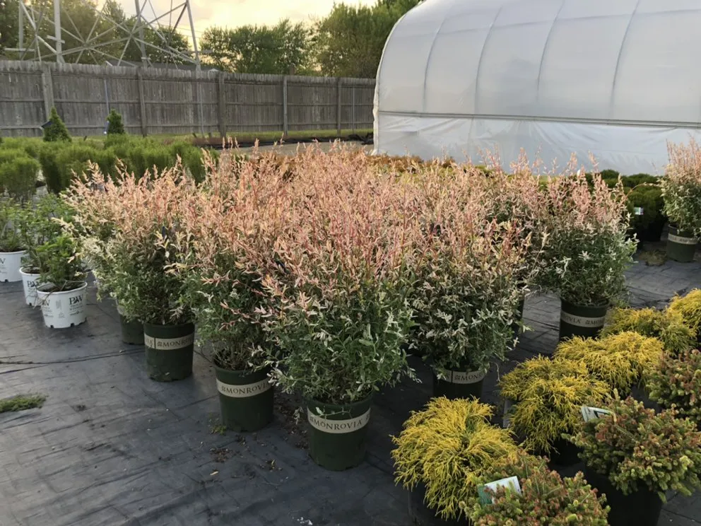 Professional residential landscaping experts serving Taylor, MI - Massab Acres Greenhouse & Nursery